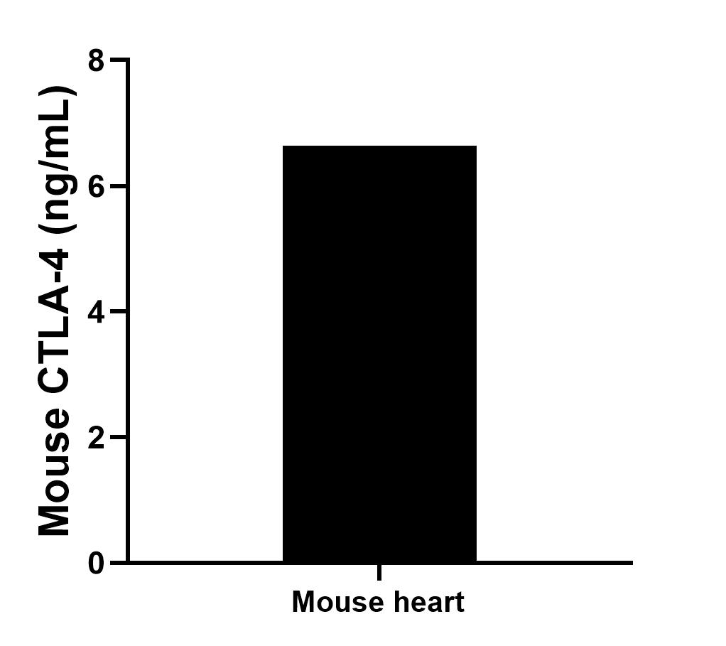 The mean CTLA-4 concentration was determined to be 6.64 ng/mL in mouse heart cell extract based on a 1.20 mg/mL extract load.